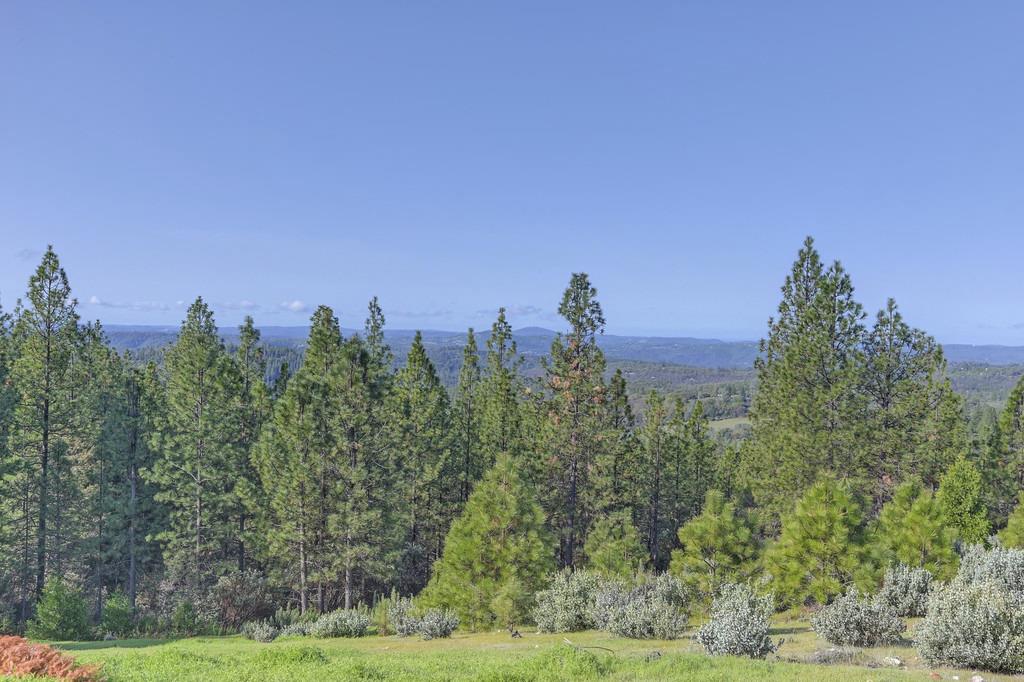 Detail Gallery Image 69 of 99 For 5901 Traverse Creek Rd, Garden Valley,  CA 95633 - 2 Beds | 2 Baths
