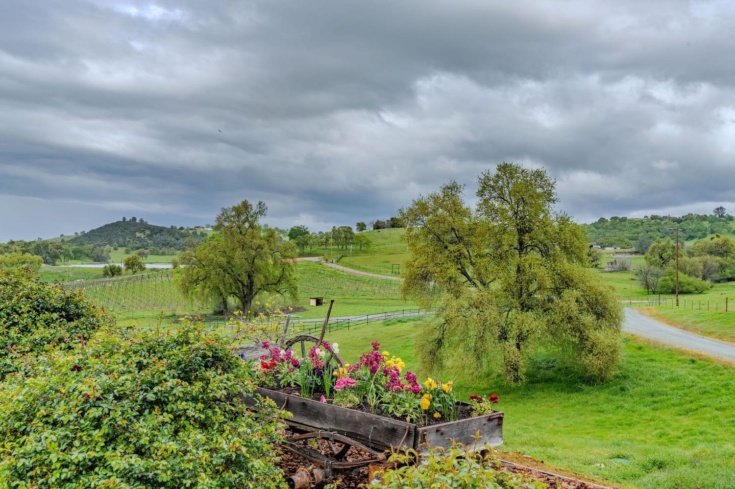 Detail Gallery Image 60 of 94 For 11195 Vintage Rd, Ione,  CA 95640 - 3 Beds | 2/1 Baths