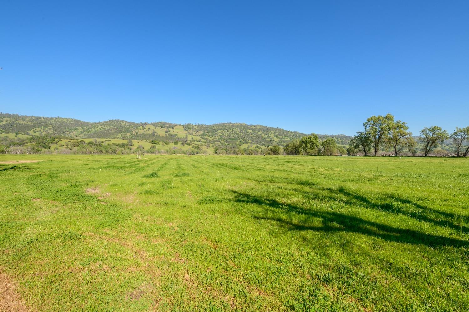 Detail Gallery Image 53 of 63 For 6535 State Highway 16, Guinda,  CA 95637 - 2 Beds | 2 Baths