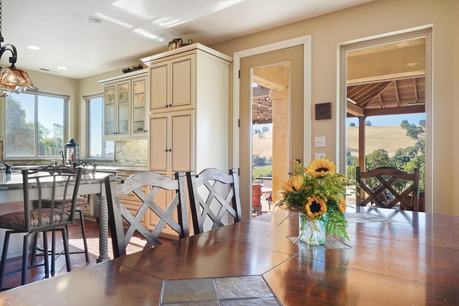 Detail Gallery Image 25 of 94 For 11195 Vintage Rd, Ione,  CA 95640 - 3 Beds | 2/1 Baths