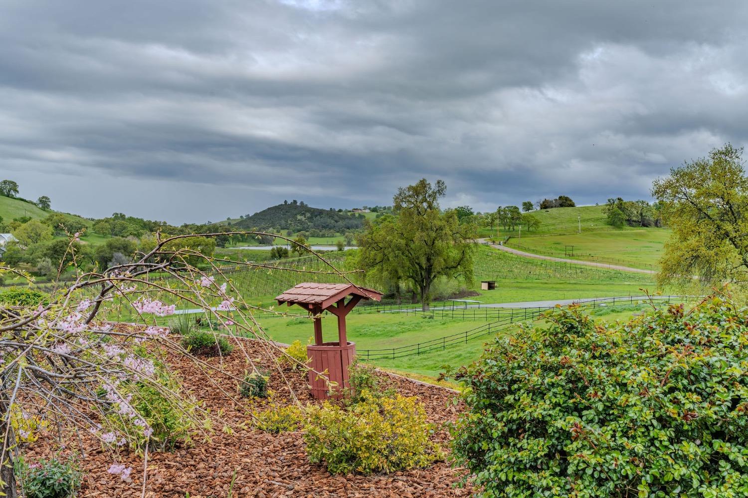 Detail Gallery Image 53 of 94 For 11195 Vintage Rd, Ione,  CA 95640 - 3 Beds | 2/1 Baths