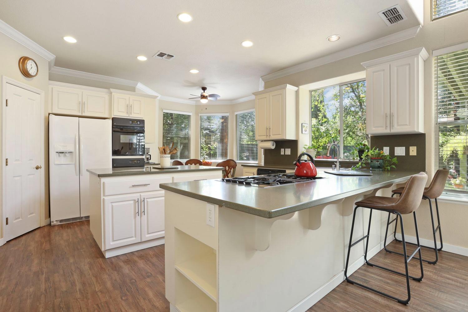 Isle Royale Lane, Davis, California image 29