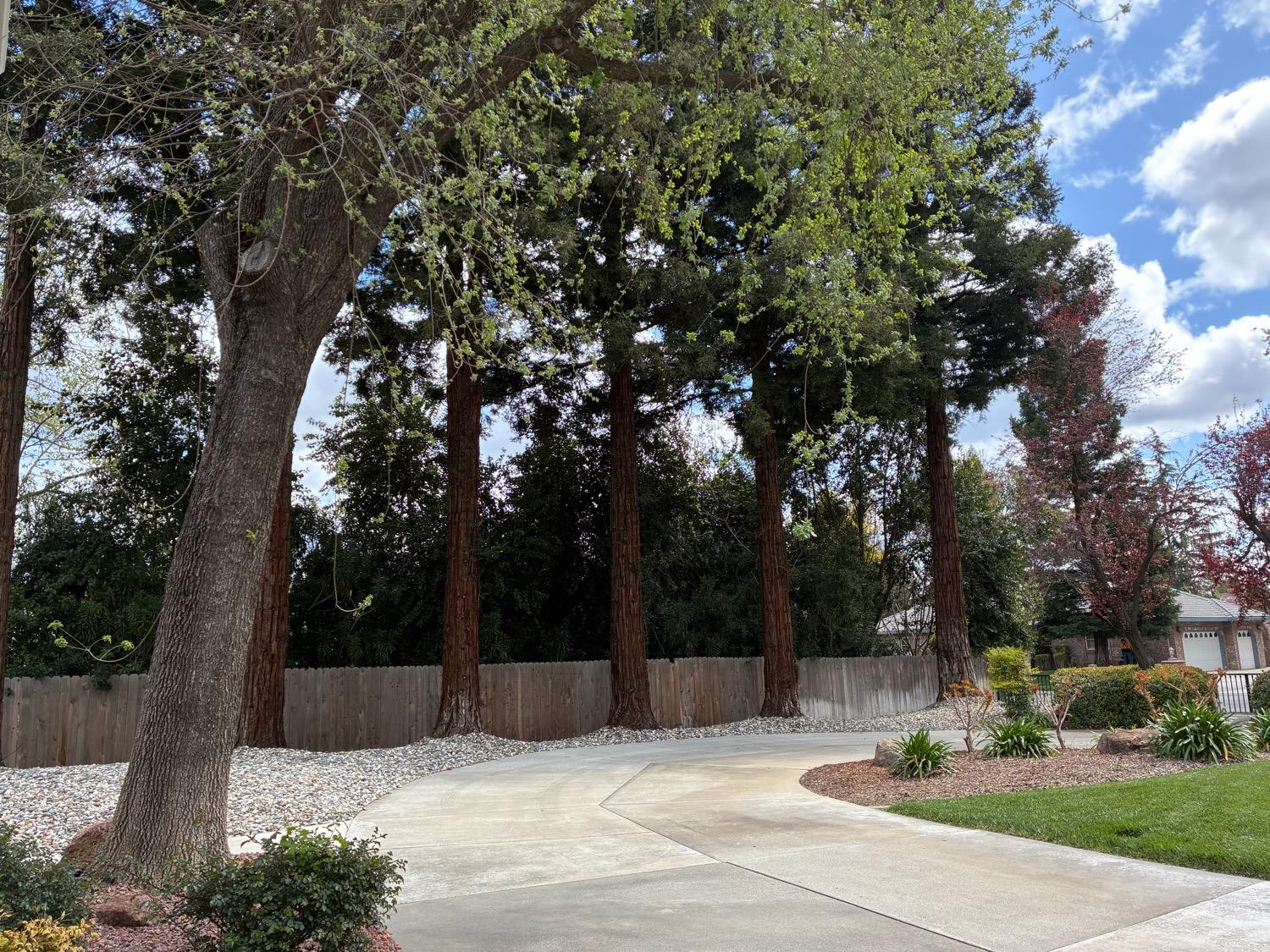 Detail Gallery Image 68 of 74 For 668 Gabriel Ave, Yuba City,  CA 95993 - 4 Beds | 4/1 Baths