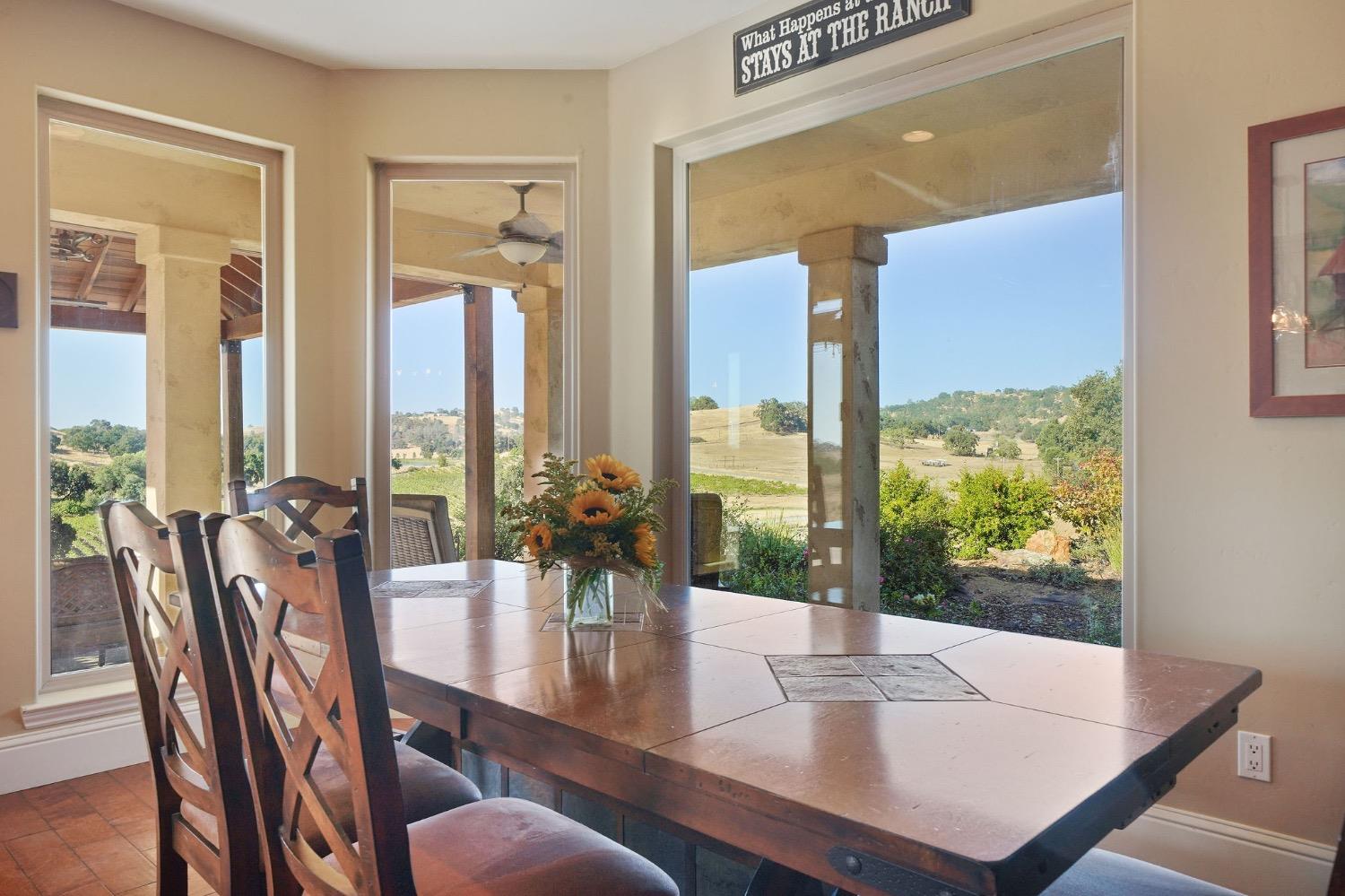 Detail Gallery Image 24 of 94 For 11195 Vintage Rd, Ione,  CA 95640 - 3 Beds | 2/1 Baths