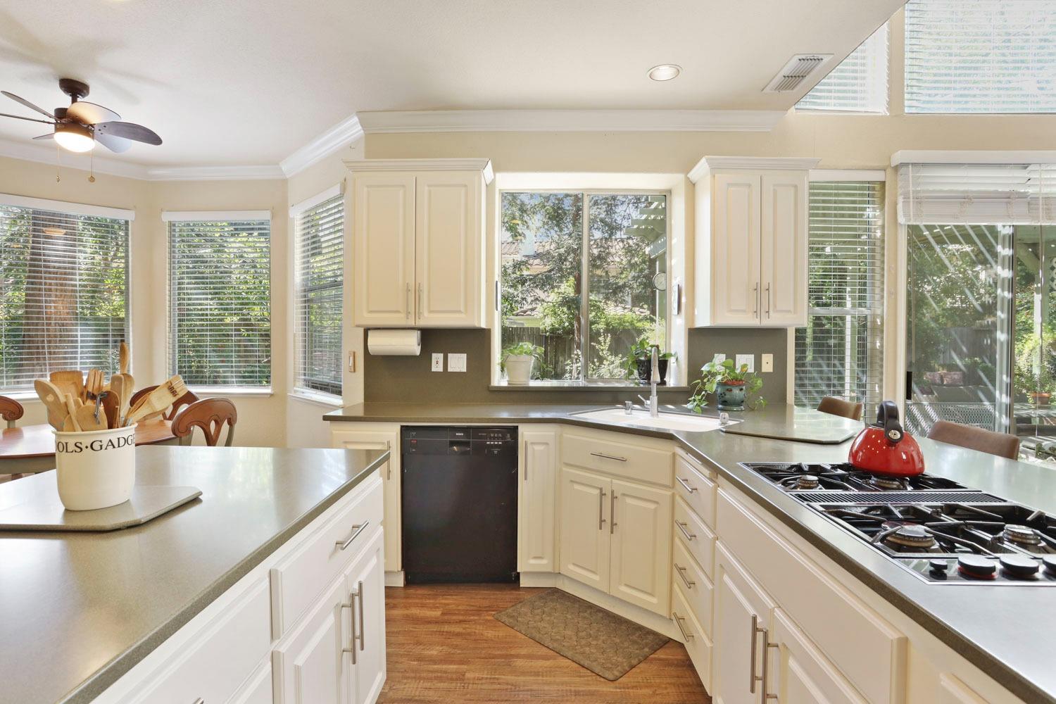 Isle Royale Lane, Davis, California image 31