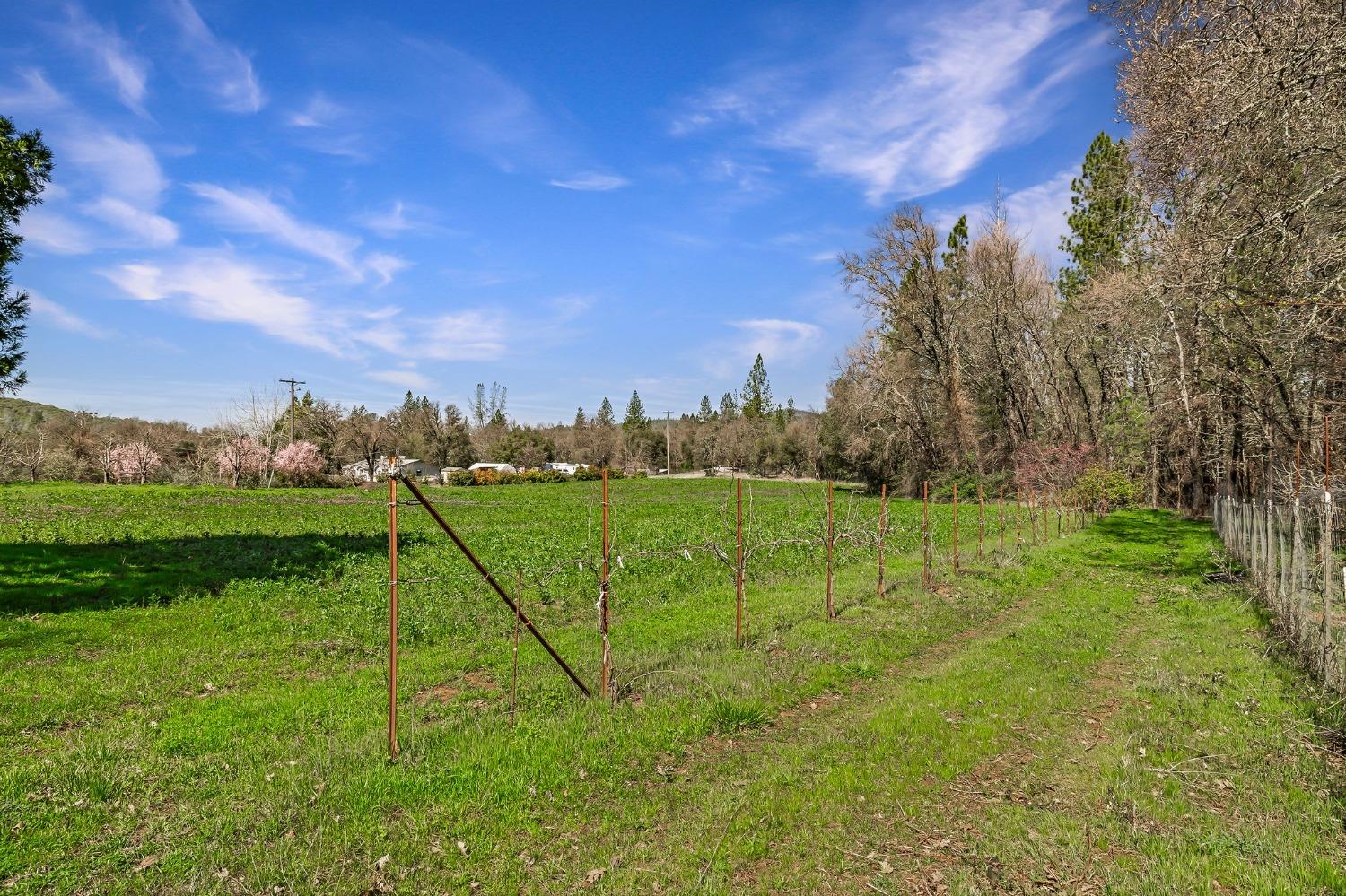 Detail Gallery Image 77 of 94 For 9156 Nadowa Trl, Oregon House,  CA 95962 - 3 Beds | 2 Baths