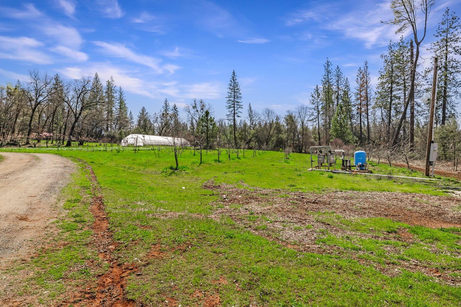 Detail Gallery Image 52 of 94 For 9156 Nadowa Trl, Oregon House,  CA 95962 - 3 Beds | 2 Baths