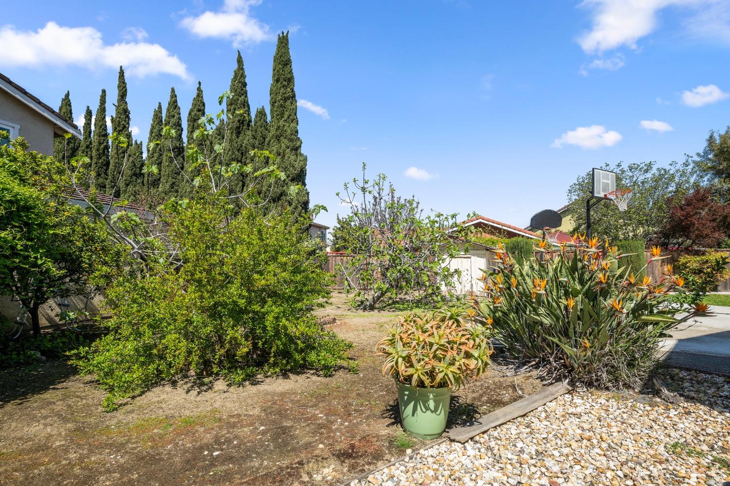 Detail Gallery Image 64 of 76 For 4449 Norocco Cir, Fremont,  CA 94555 - 4 Beds | 2/1 Baths