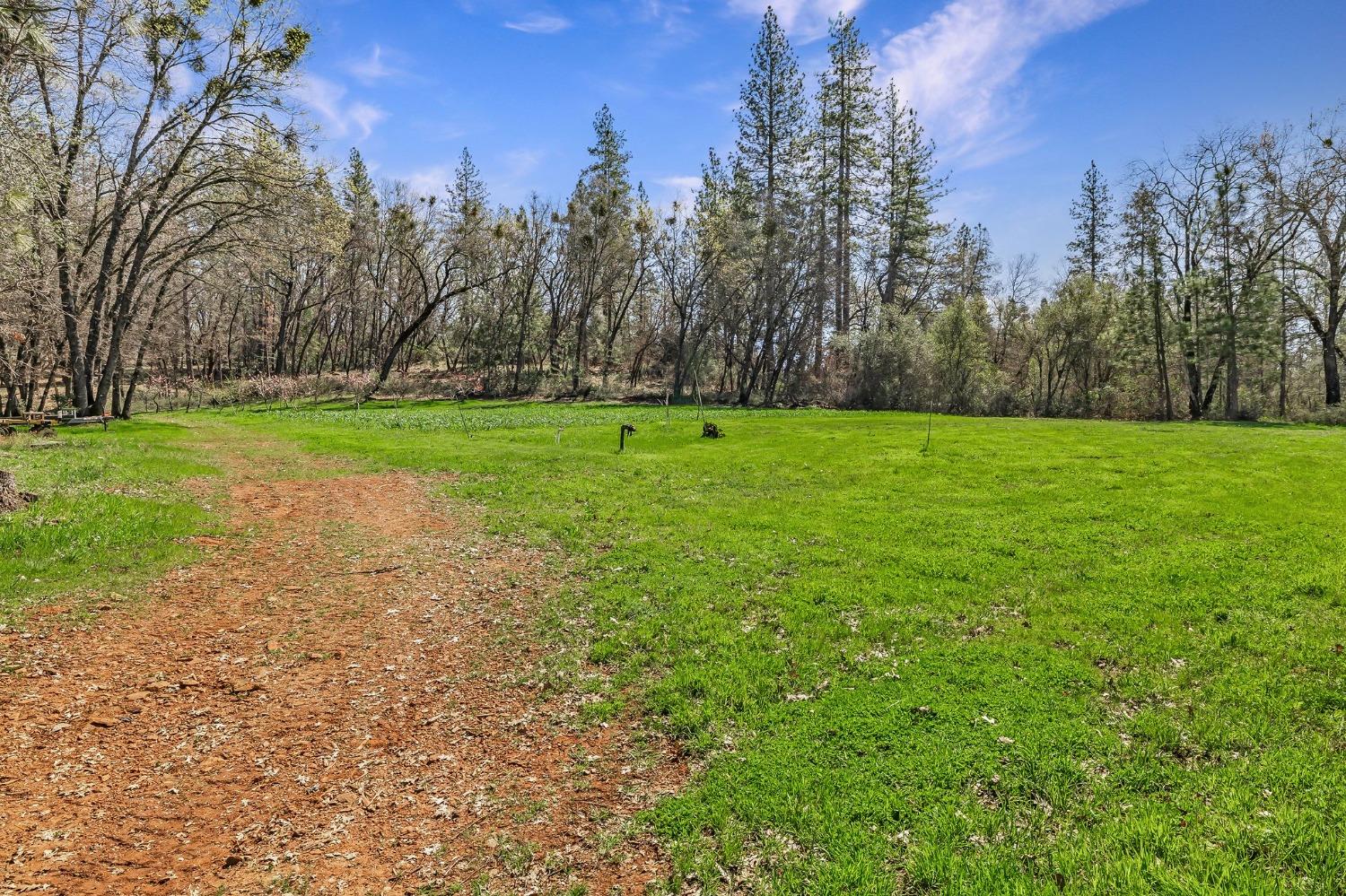 Detail Gallery Image 68 of 94 For 9156 Nadowa Trl, Oregon House,  CA 95962 - 3 Beds | 2 Baths