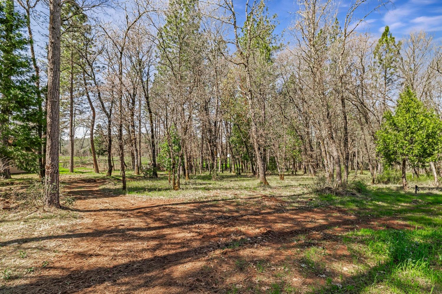 Detail Gallery Image 71 of 94 For 9156 Nadowa Trl, Oregon House,  CA 95962 - 3 Beds | 2 Baths