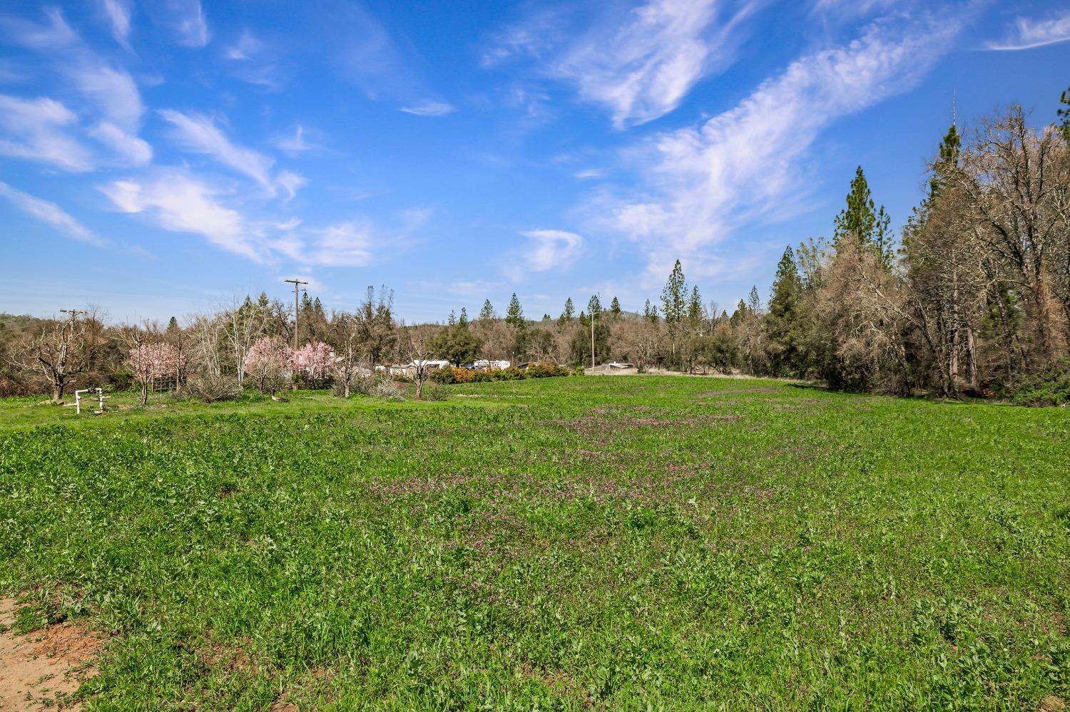 Detail Gallery Image 56 of 94 For 9156 Nadowa Trl, Oregon House,  CA 95962 - 3 Beds | 2 Baths
