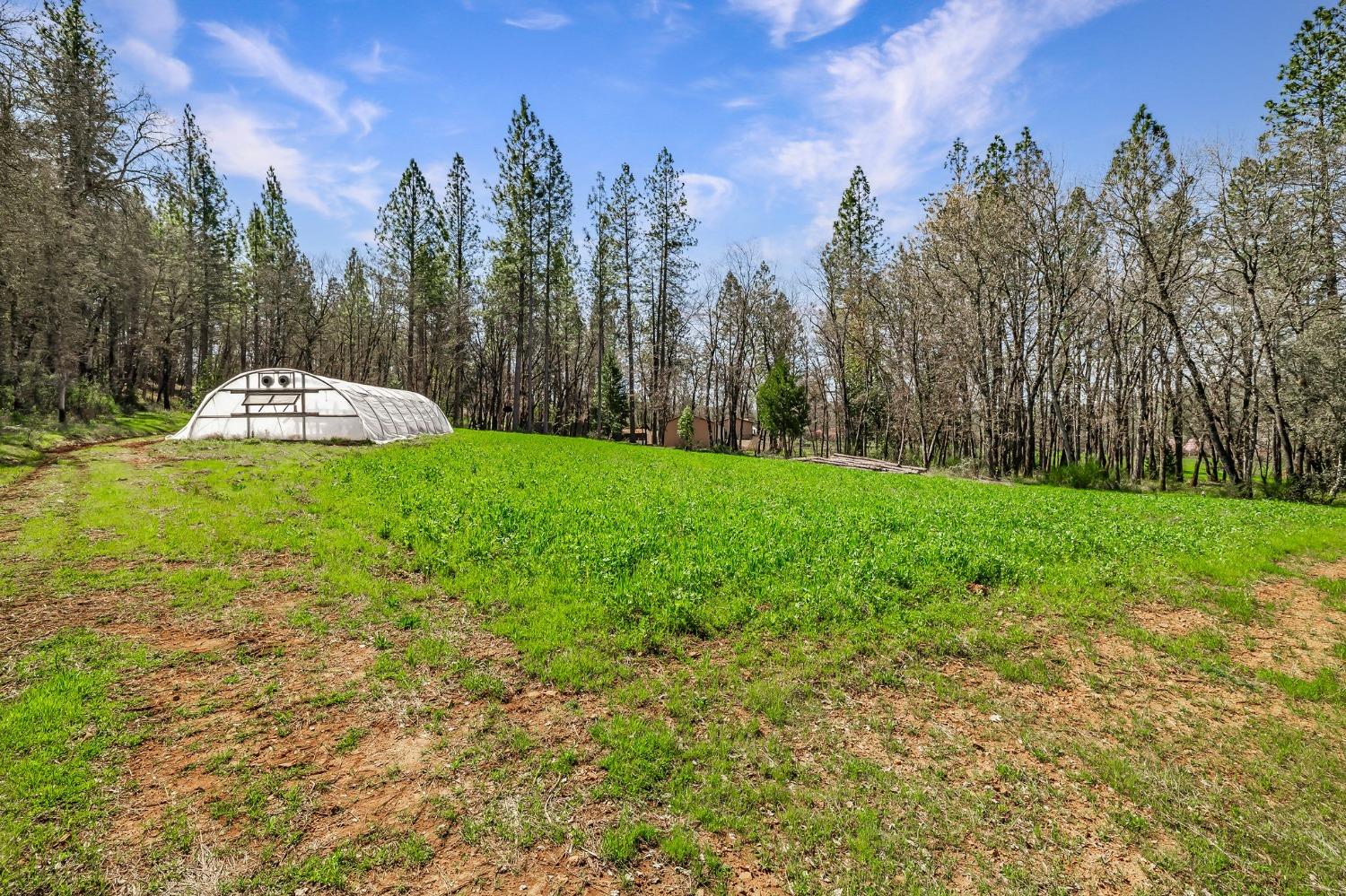 Detail Gallery Image 60 of 94 For 9156 Nadowa Trl, Oregon House,  CA 95962 - 3 Beds | 2 Baths