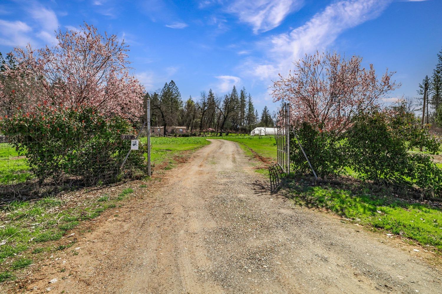 Detail Gallery Image 51 of 94 For 9156 Nadowa Trl, Oregon House,  CA 95962 - 3 Beds | 2 Baths