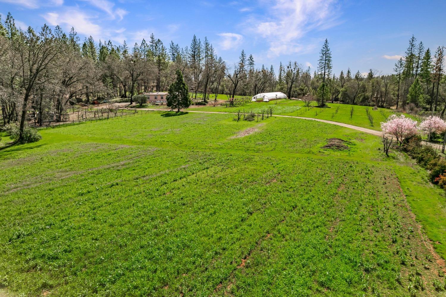 Detail Gallery Image 79 of 94 For 9156 Nadowa Trl, Oregon House,  CA 95962 - 3 Beds | 2 Baths