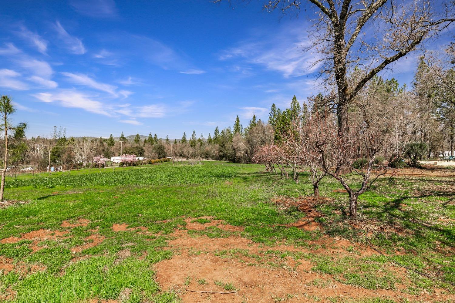 Detail Gallery Image 67 of 94 For 9156 Nadowa Trl, Oregon House,  CA 95962 - 3 Beds | 2 Baths