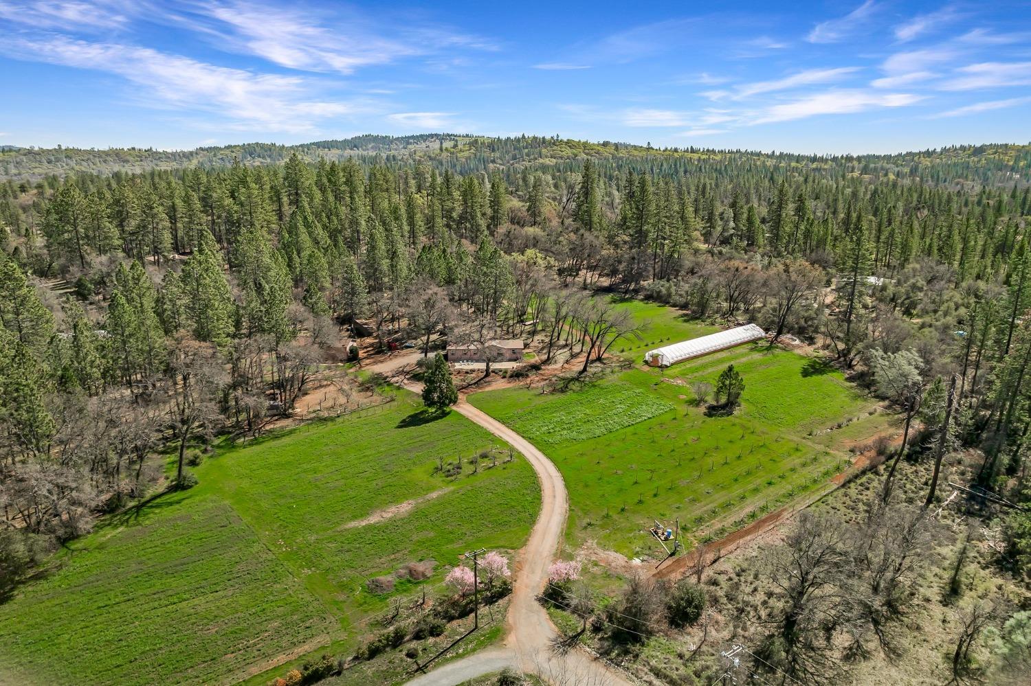Detail Gallery Image 84 of 94 For 9156 Nadowa Trl, Oregon House,  CA 95962 - 3 Beds | 2 Baths