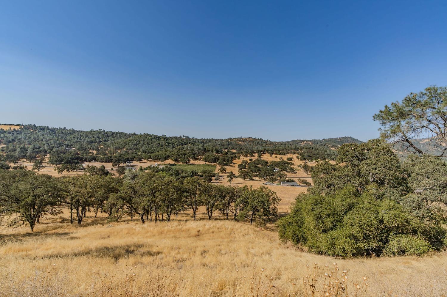Detail Gallery Image 18 of 88 For 1560 Pinto Dr, Angels Camp,  CA 95222 - 3 Beds | 2/1 Baths