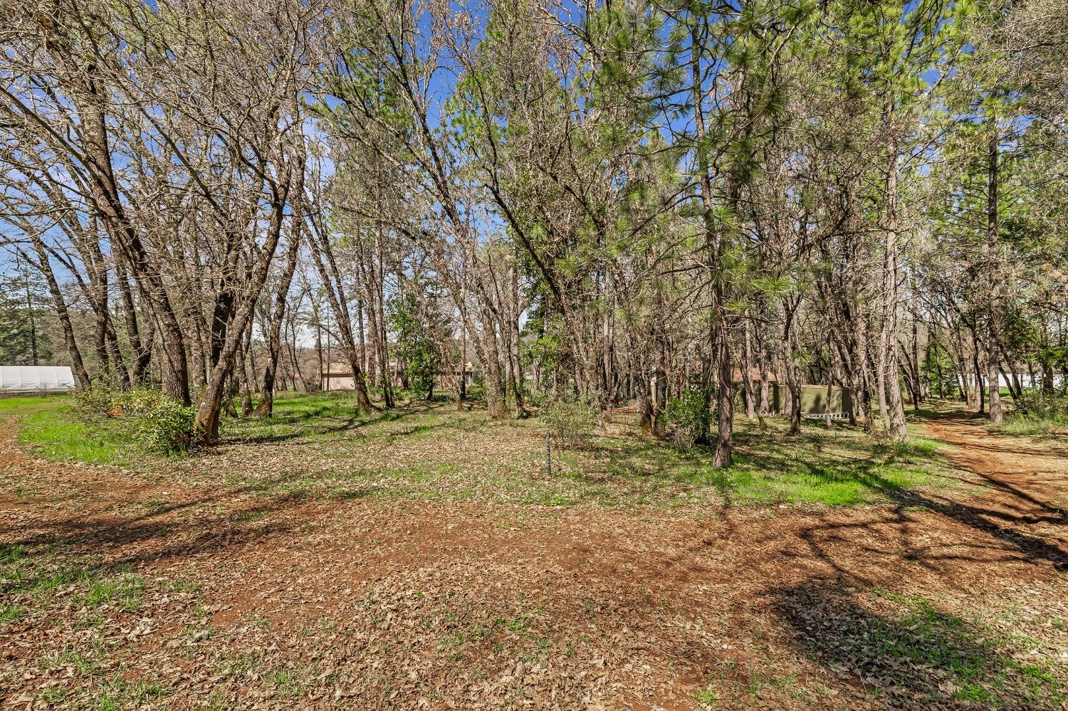 Detail Gallery Image 75 of 94 For 9156 Nadowa Trl, Oregon House,  CA 95962 - 3 Beds | 2 Baths