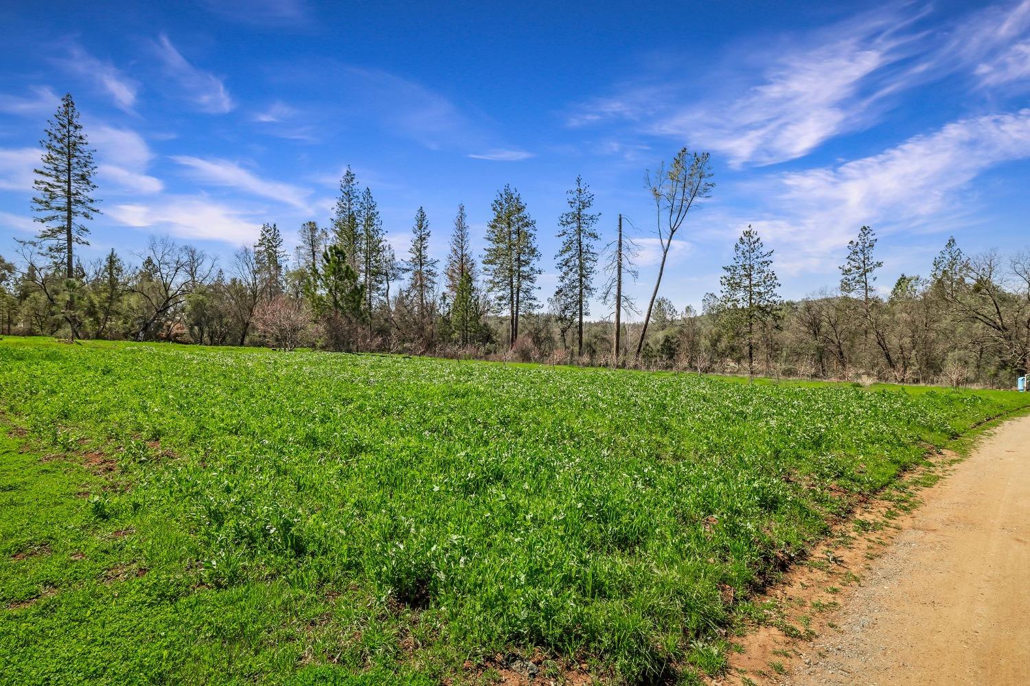Detail Gallery Image 55 of 94 For 9156 Nadowa Trl, Oregon House,  CA 95962 - 3 Beds | 2 Baths
