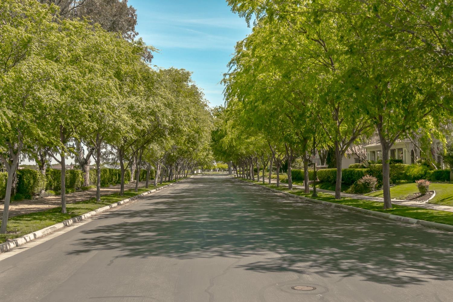 Detail Gallery Image 51 of 66 For 2731 Mocking Bird Ln, Tracy,  CA 95377 - 3 Beds | 2/1 Baths