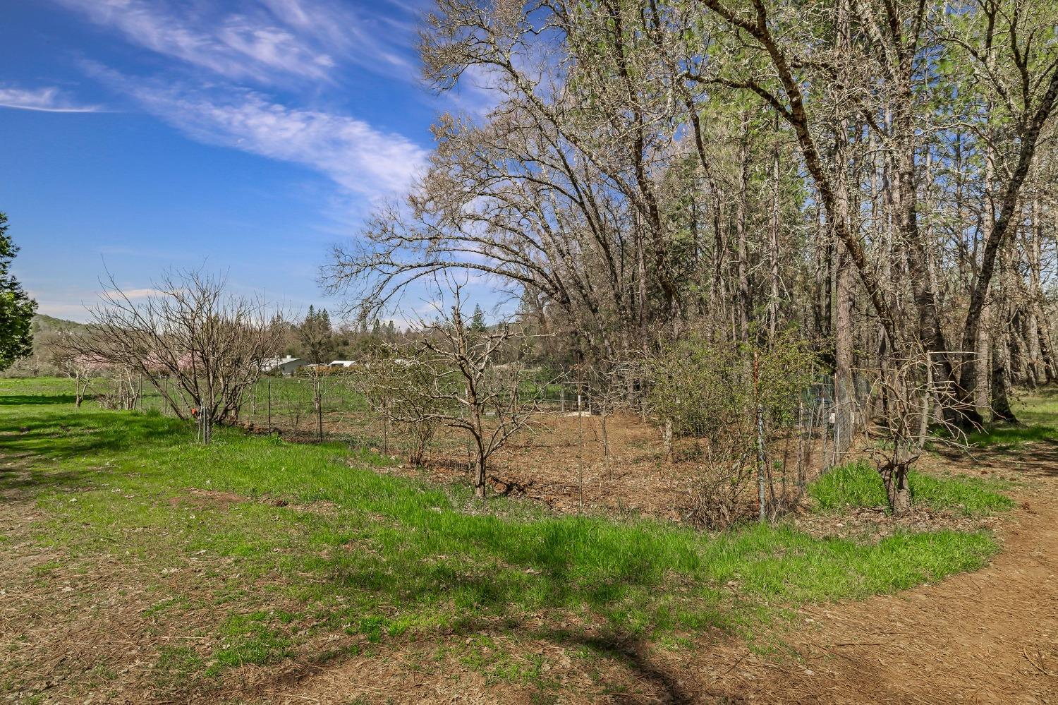 Detail Gallery Image 72 of 94 For 9156 Nadowa Trl, Oregon House,  CA 95962 - 3 Beds | 2 Baths