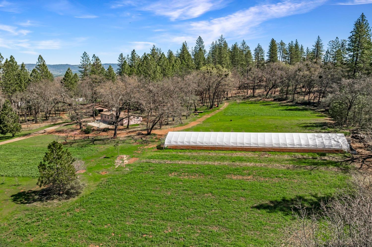 Detail Gallery Image 81 of 94 For 9156 Nadowa Trl, Oregon House,  CA 95962 - 3 Beds | 2 Baths