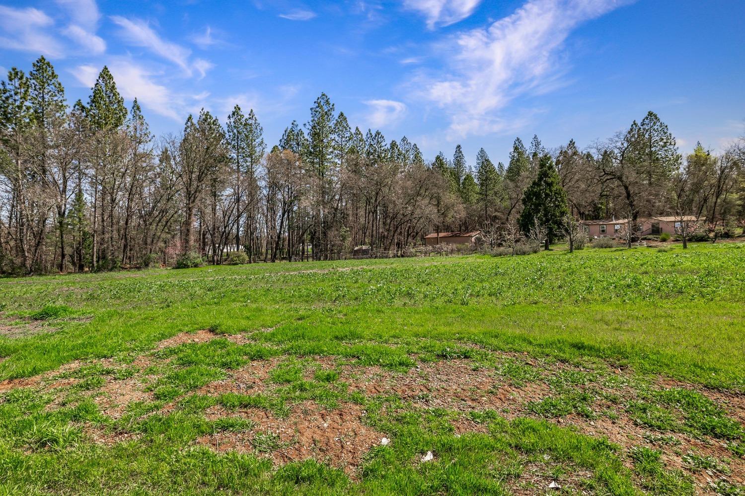 Detail Gallery Image 53 of 94 For 9156 Nadowa Trl, Oregon House,  CA 95962 - 3 Beds | 2 Baths