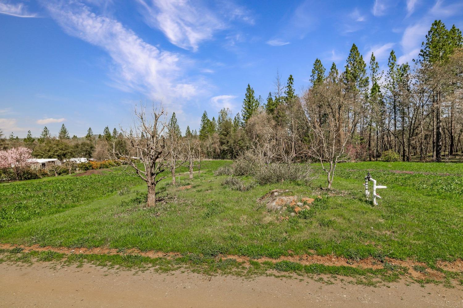 Detail Gallery Image 54 of 94 For 9156 Nadowa Trl, Oregon House,  CA 95962 - 3 Beds | 2 Baths