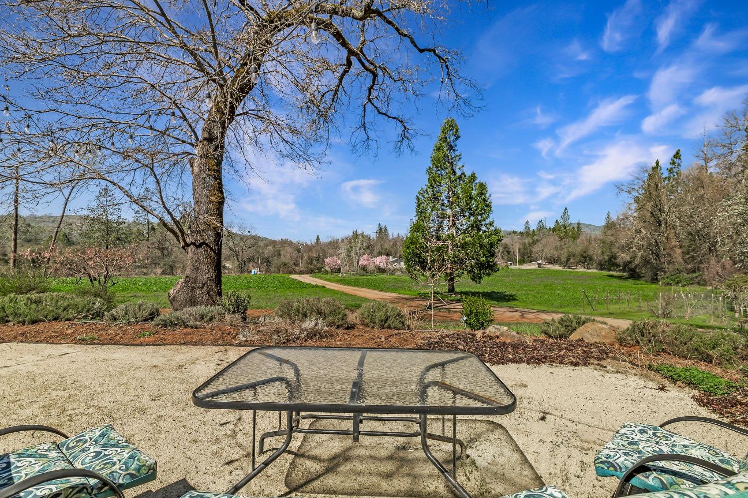 Detail Gallery Image 8 of 94 For 9156 Nadowa Trl, Oregon House,  CA 95962 - 3 Beds | 2 Baths