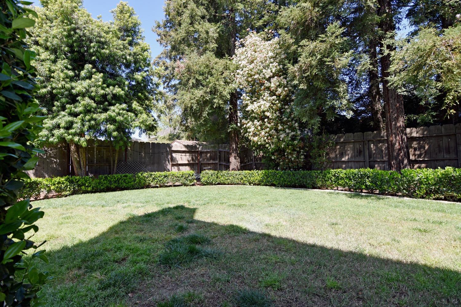 Detail Gallery Image 48 of 62 For 1945 Foxtail Ct, Turlock,  CA 95382 - 4 Beds | 3/1 Baths
