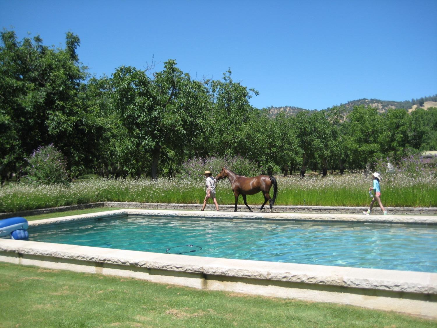 Detail Gallery Image 33 of 63 For 6535 State Highway 16, Guinda,  CA 95637 - 2 Beds | 2 Baths