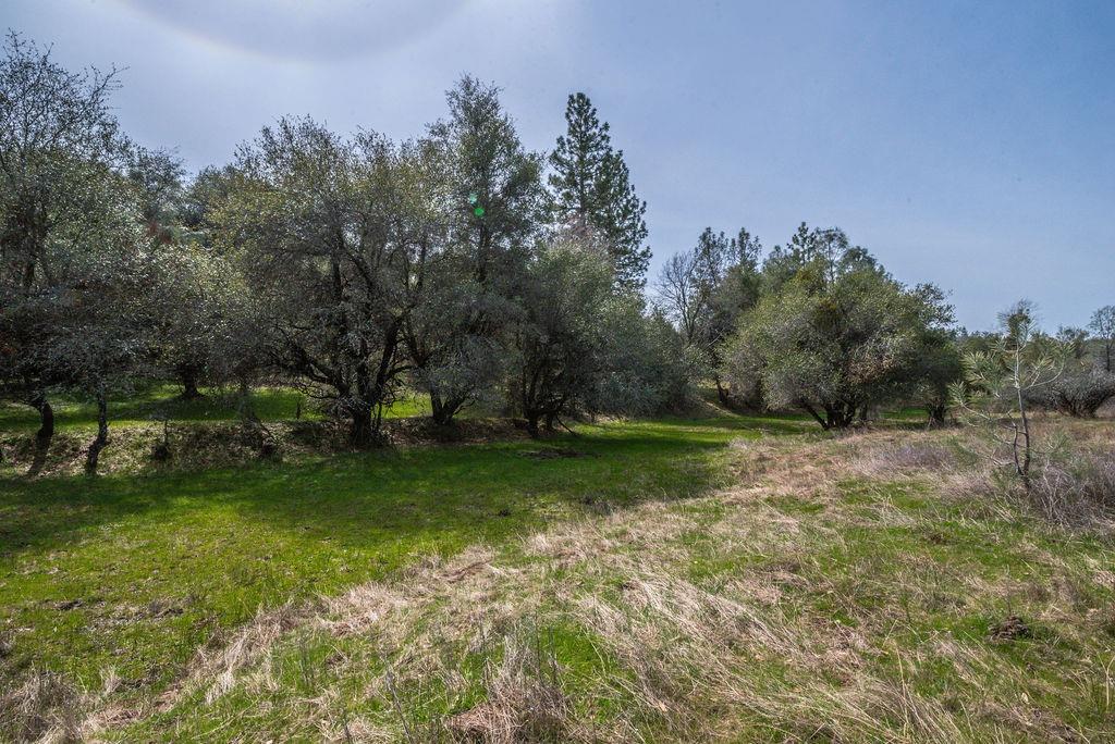 Detail Gallery Image 12 of 27 For 8260 Fairplay Road, Somerset,  CA 95684 - – Beds | – Baths