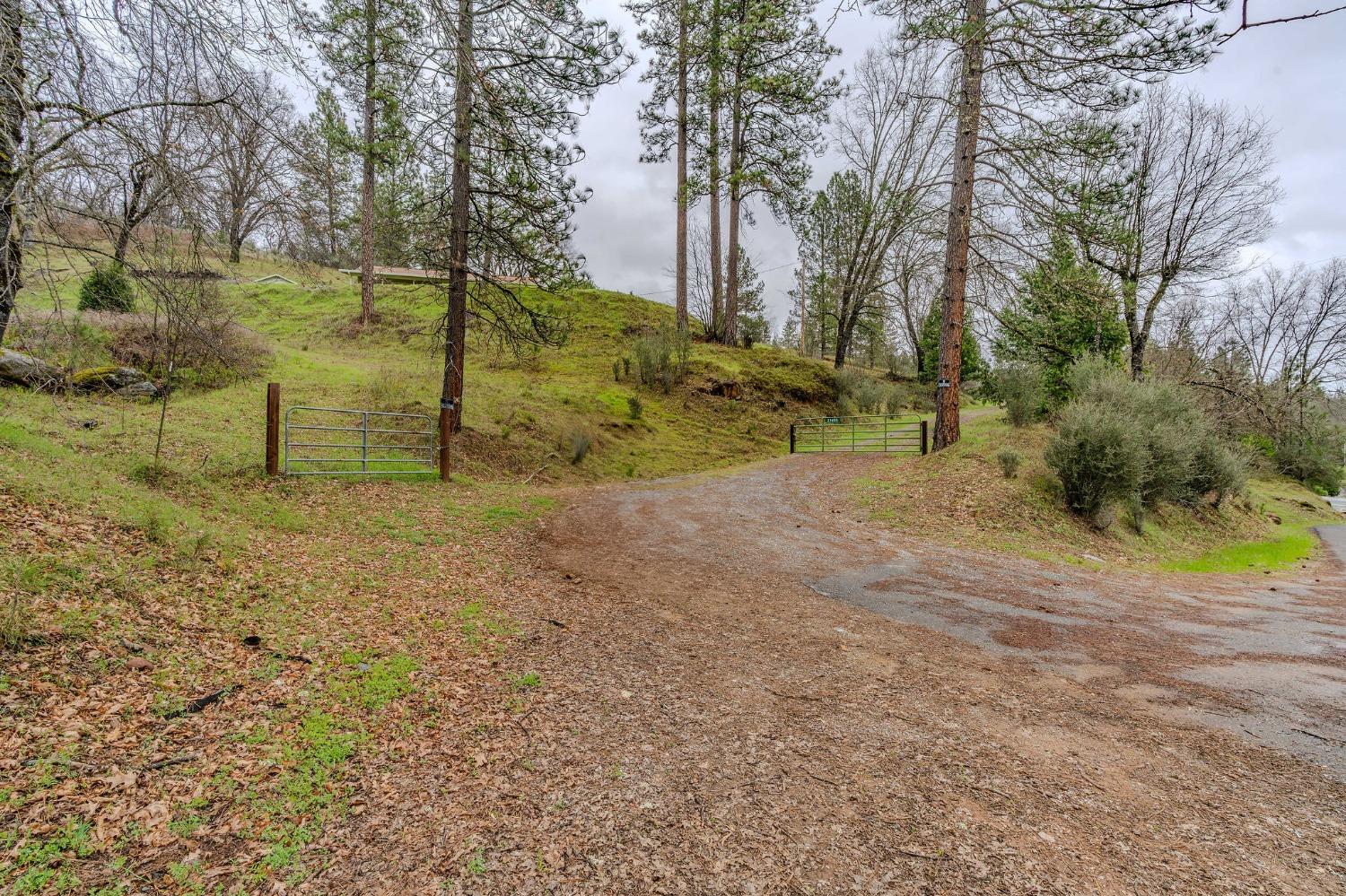 Detail Gallery Image 37 of 48 For 21655 Highway 26, West Point,  CA 95255 - 2 Beds | 1 Baths
