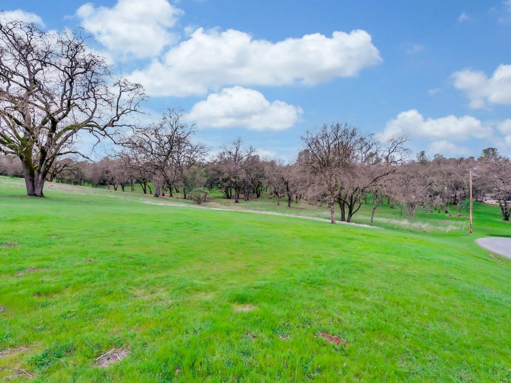 Eastview Drive, Shingle Springs, California image 6