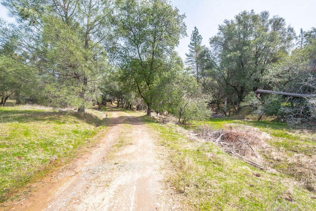 Detail Gallery Image 11 of 27 For 8260 Fairplay Road, Somerset,  CA 95684 - – Beds | – Baths