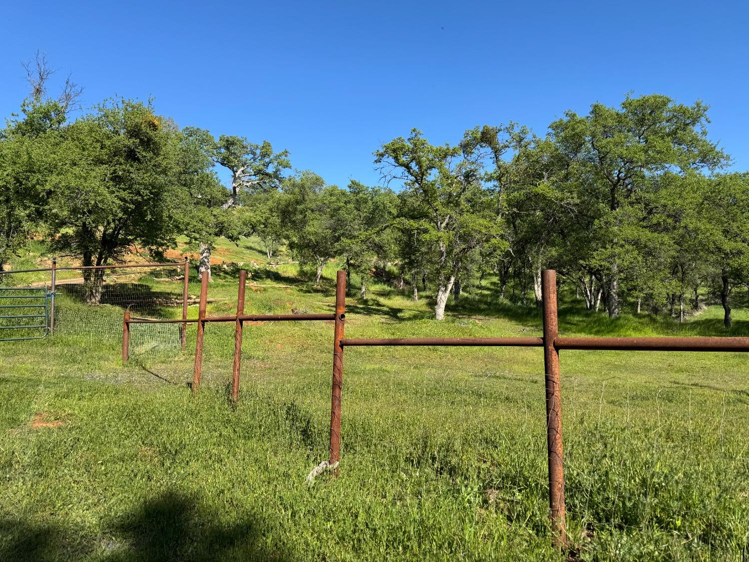 Castillo Way, La Grange, California image 3