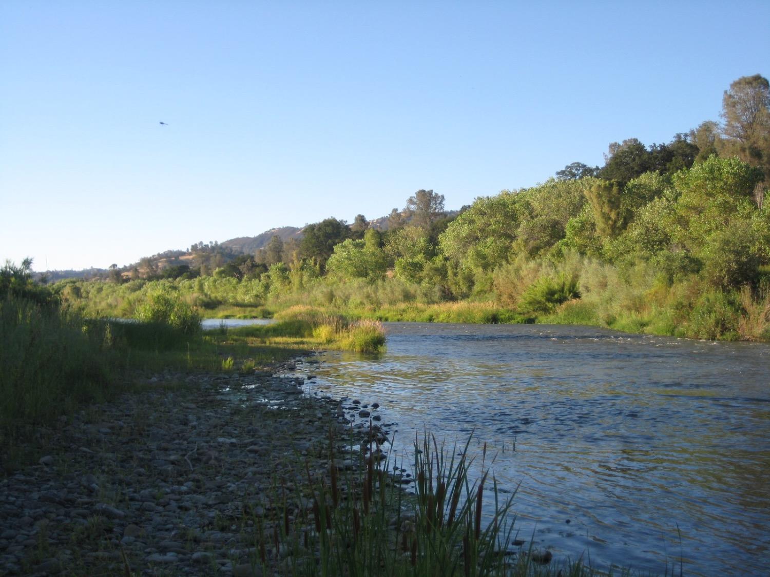 Detail Gallery Image 54 of 63 For 6535 State Highway 16, Guinda,  CA 95637 - 2 Beds | 2 Baths