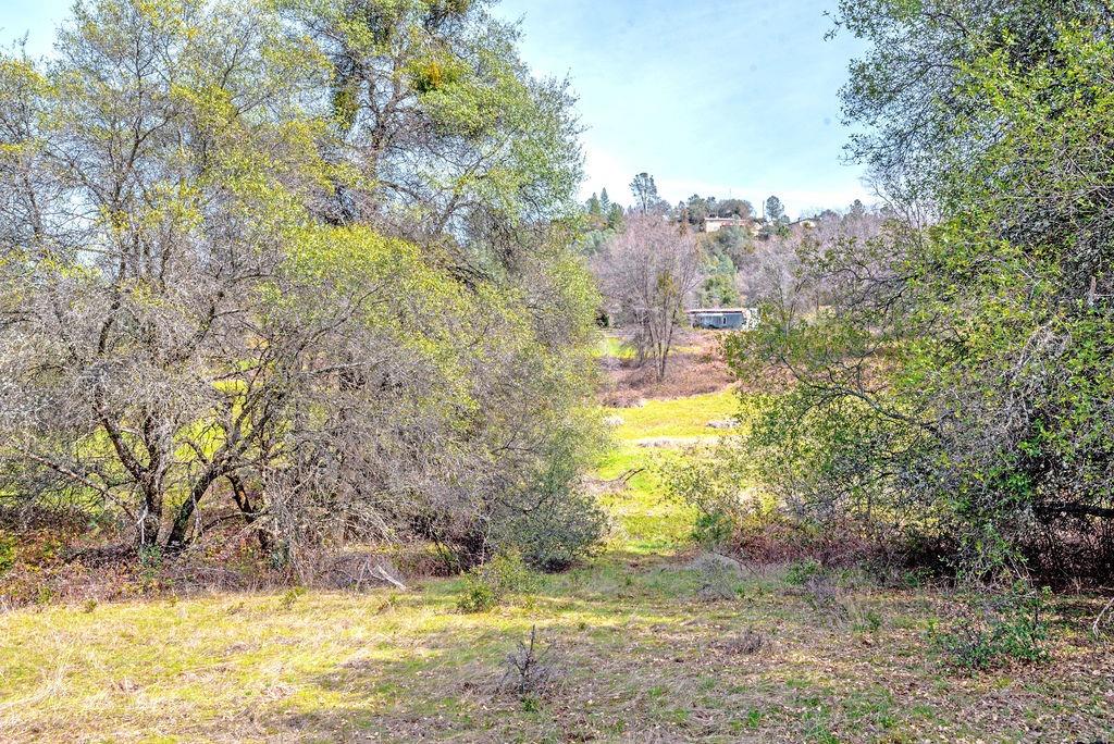 Detail Gallery Image 19 of 27 For 8260 Fairplay Road, Somerset,  CA 95684 - – Beds | – Baths