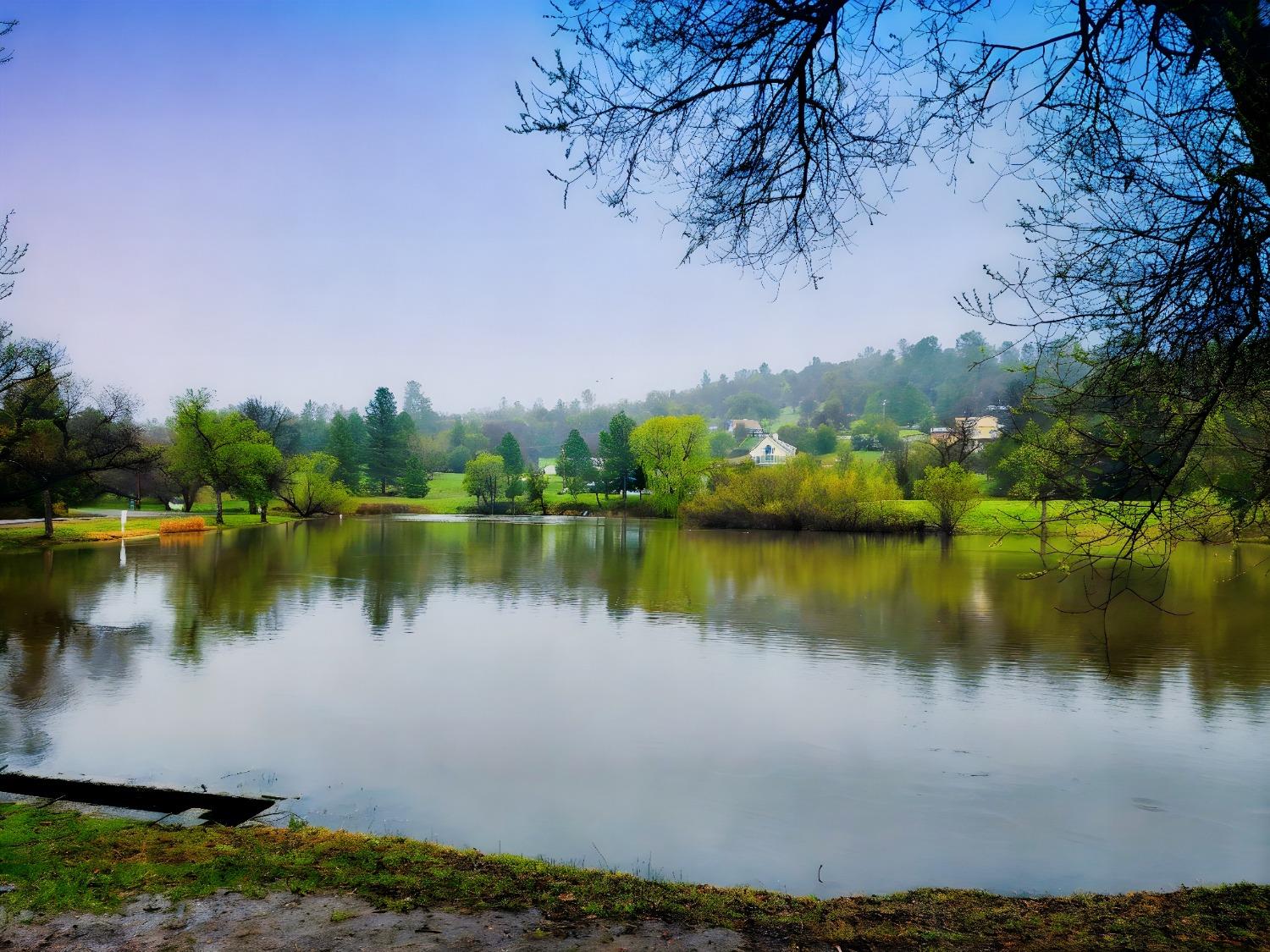 Shilo Drive, Placerville, California image 3