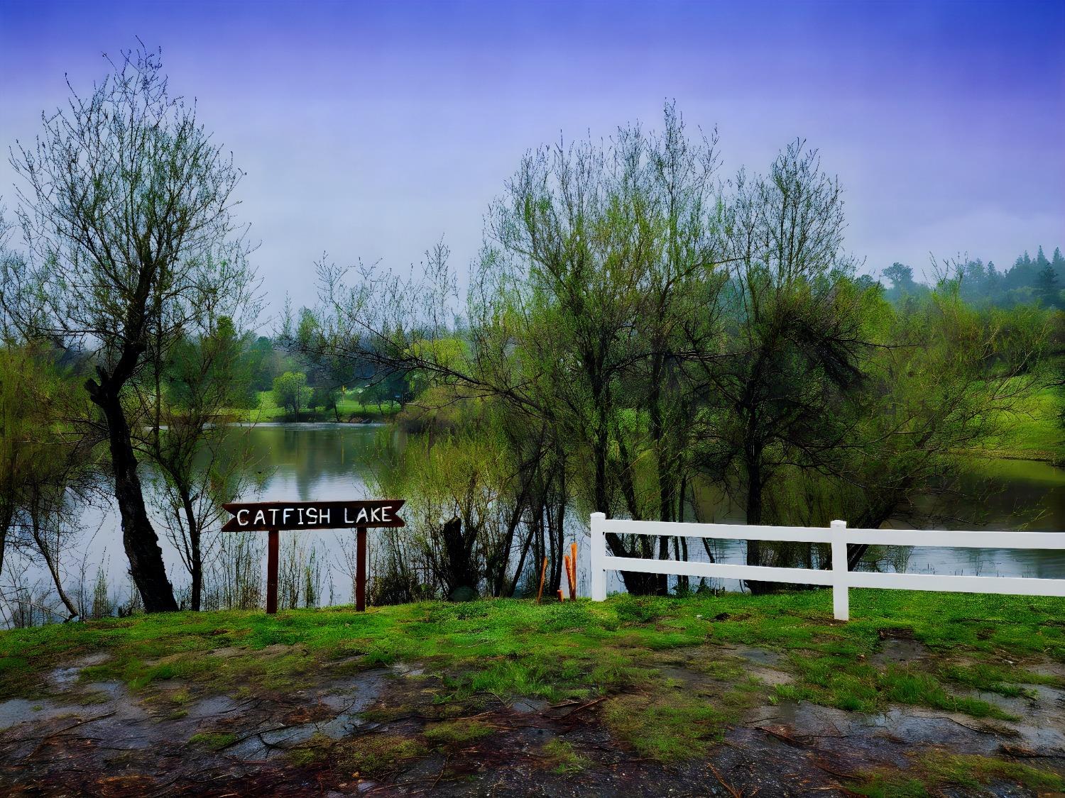 Shilo Drive, Placerville, California image 4