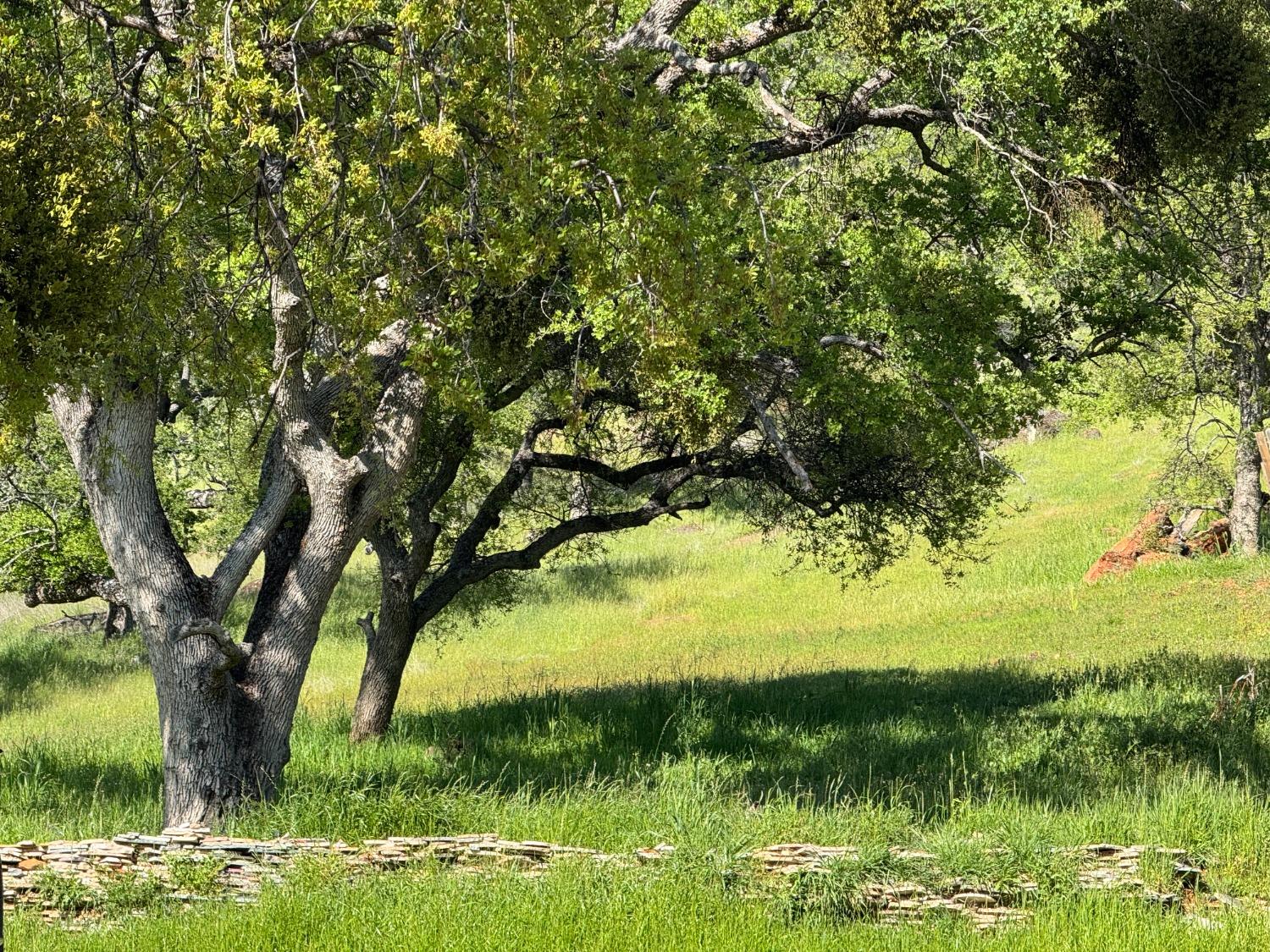 Castillo Way, La Grange, California image 5