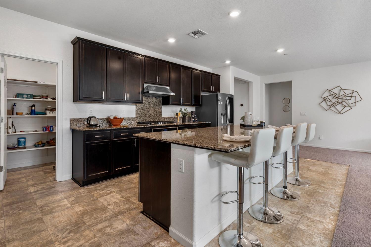 Detail Gallery Image 16 of 38 For 15316 Barbara Terry Blvd, Lathrop,  CA 95330 - 4 Beds | 2 Baths