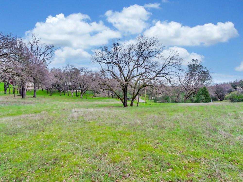 Eastview Drive, Shingle Springs, California image 8