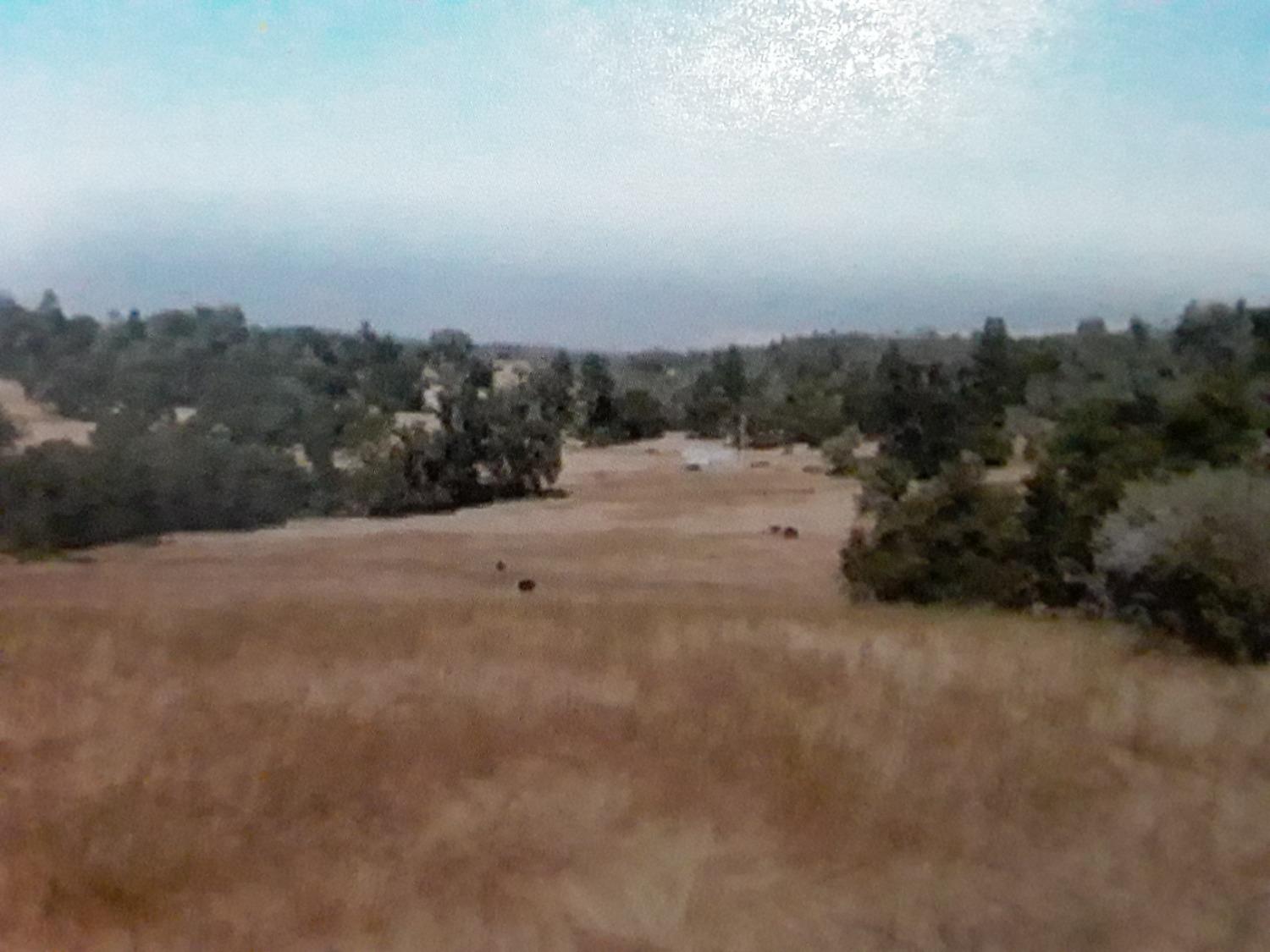 Detail Gallery Image 9 of 27 For 8260 Fairplay Road, Somerset,  CA 95684 - – Beds | – Baths