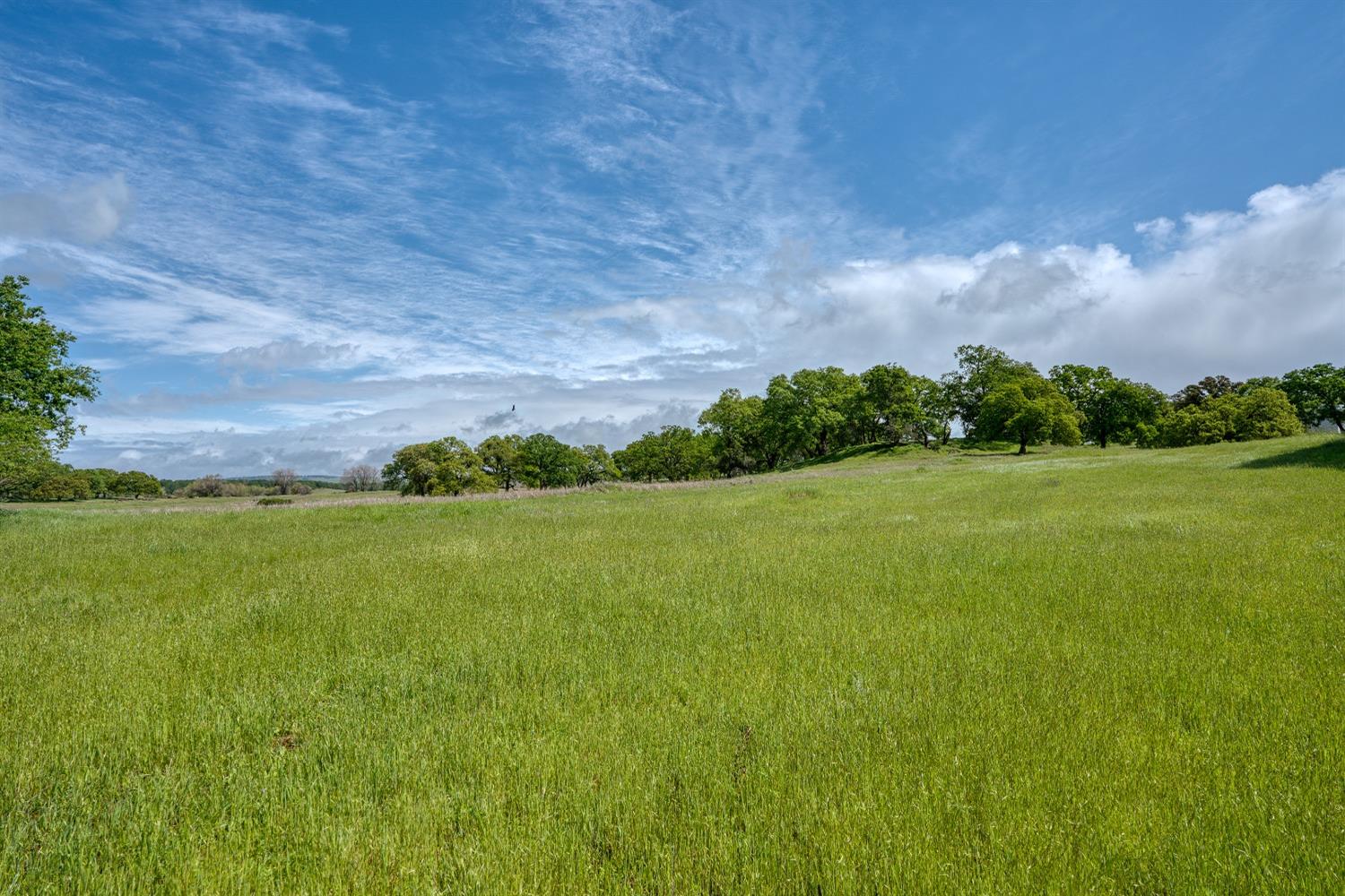 Detail Gallery Image 40 of 42 For 6156 Puerto Dr, Rancho Murieta,  CA 95683 - 3 Beds | 2 Baths