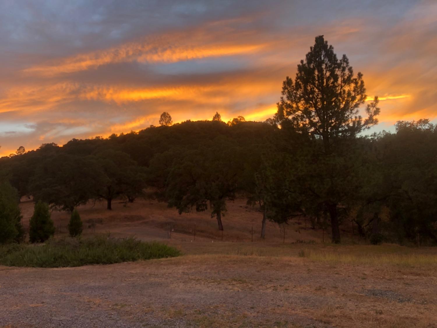 Detail Gallery Image 97 of 99 For 19277 Cedar Pines Dr, Fiddletown,  CA 95629 - 1 Beds | 2/2 Baths