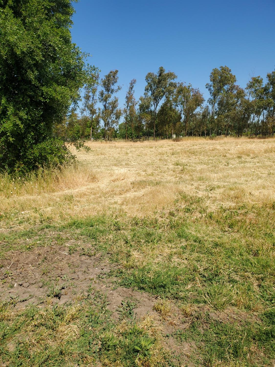 Detail Gallery Image 38 of 46 For 2001 E Eight Mile Rd, Lodi,  CA 95242 - 3 Beds | 2 Baths