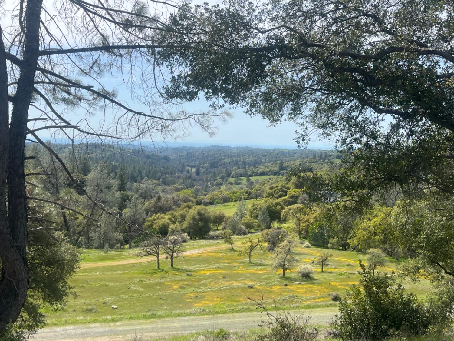 Detail Gallery Image 66 of 99 For 19277 Cedar Pines Dr, Fiddletown,  CA 95629 - 1 Beds | 2/2 Baths