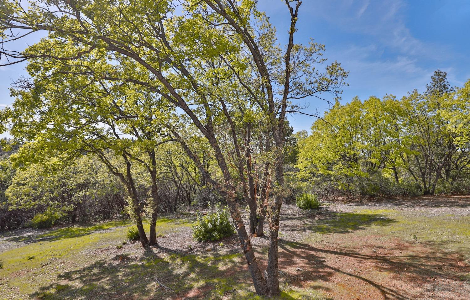Detail Gallery Image 52 of 77 For 14753 Sandar Rd, Pine Grove,  CA 95665 - 3 Beds | 3 Baths