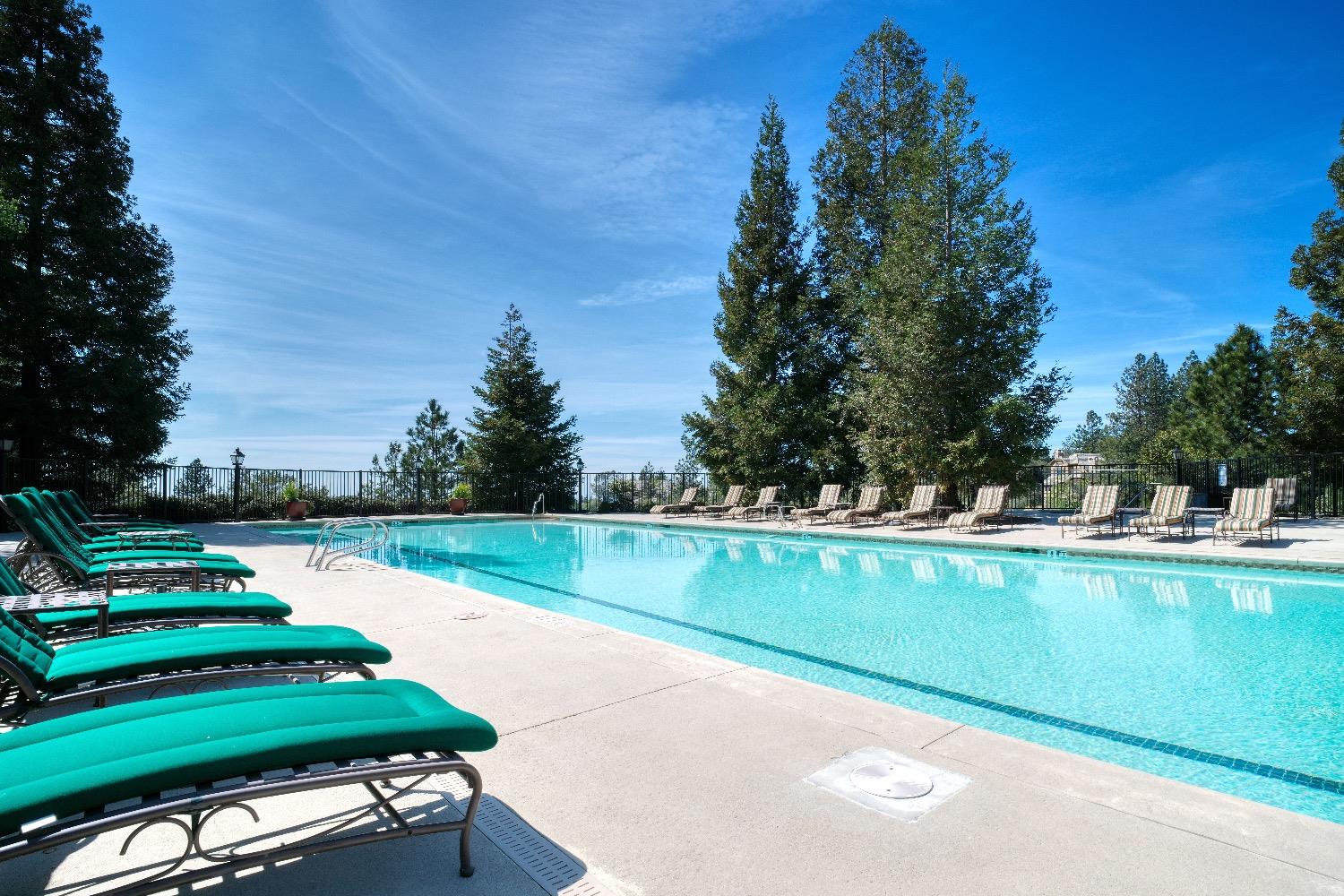 Detail Gallery Image 59 of 74 For 15120 Woodvale Ln, Meadow Vista,  CA 95722 - – Beds | – Baths